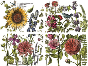 Botanists Journal